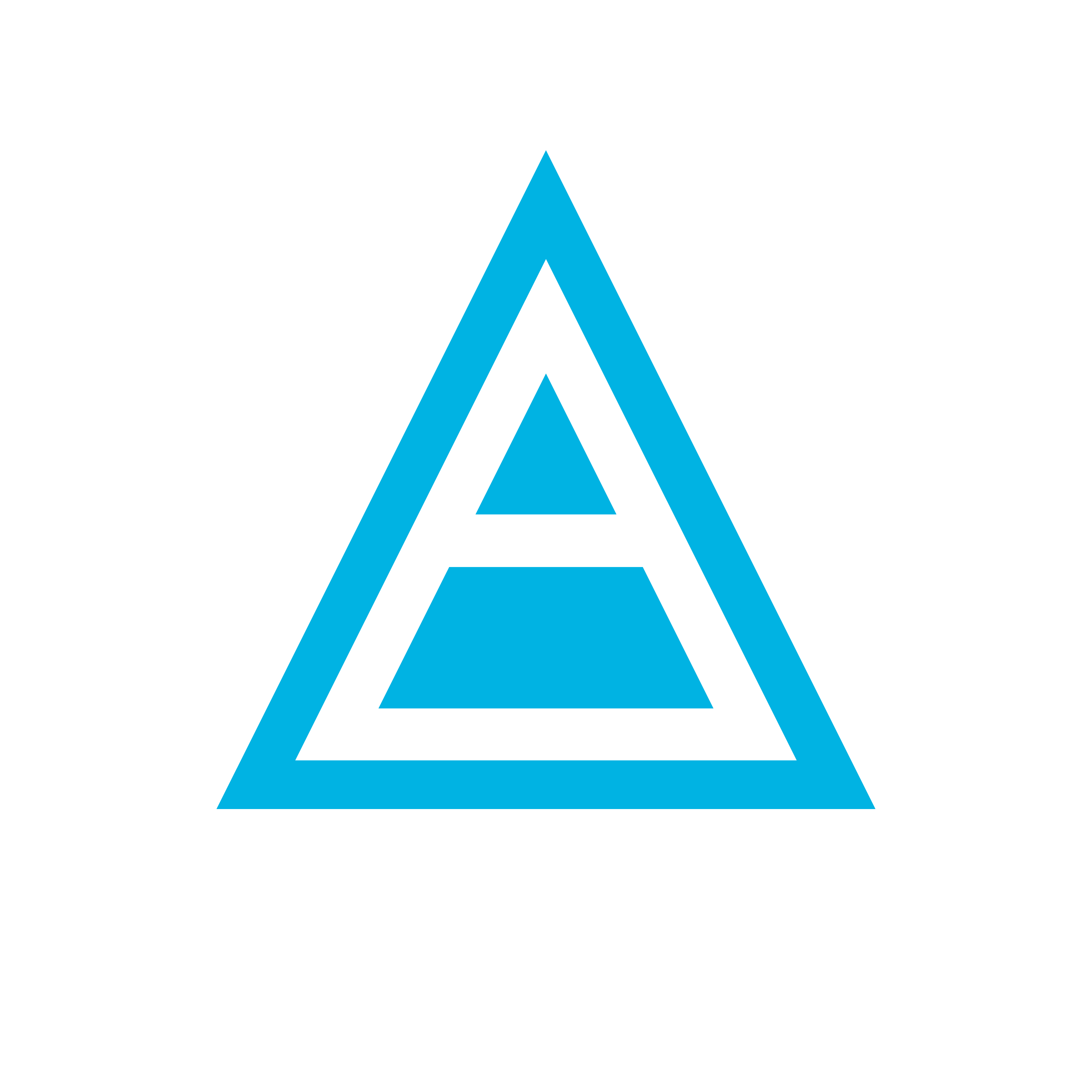 Netpeak