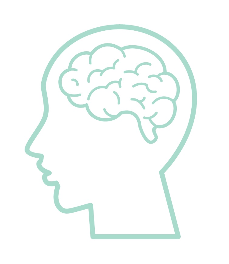 BrainNoots