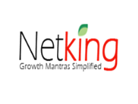 NetKing Web Services Pvt. Ltd.