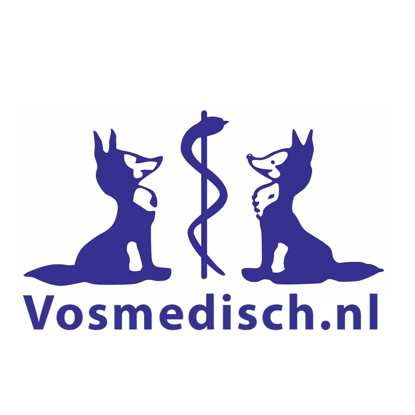 Vosmedisch.nl - A. Vos en Zoons-Medische & thuiszorg Winkel