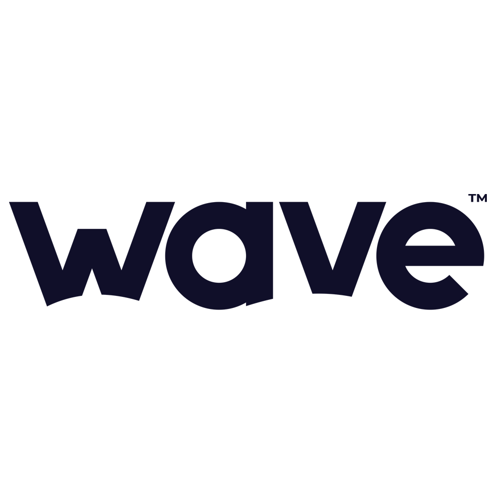 Wave Spas 