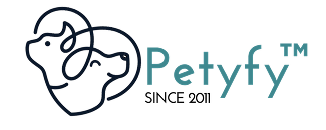 Petyfy