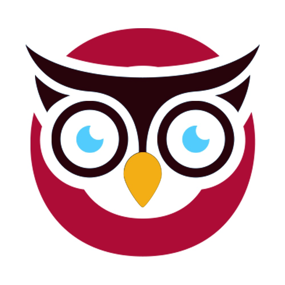 Owlkeys Infotech - IT & Home Automation Store.