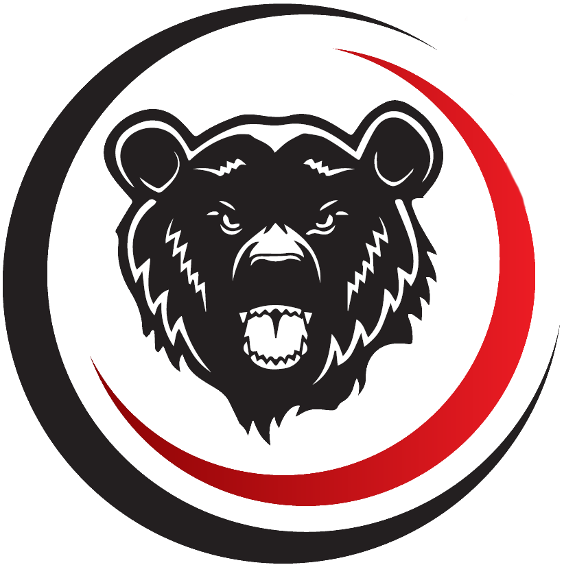 Bear Watch CCTV LTD 