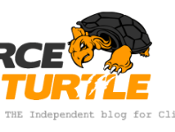 Fierceturtle