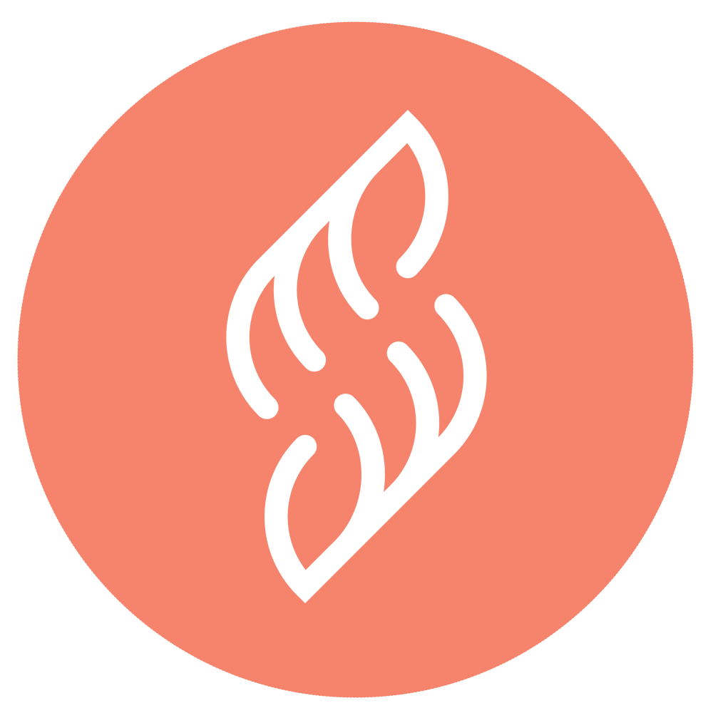 Salontotal
