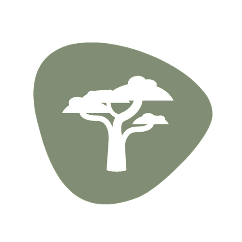 iLala Safaris