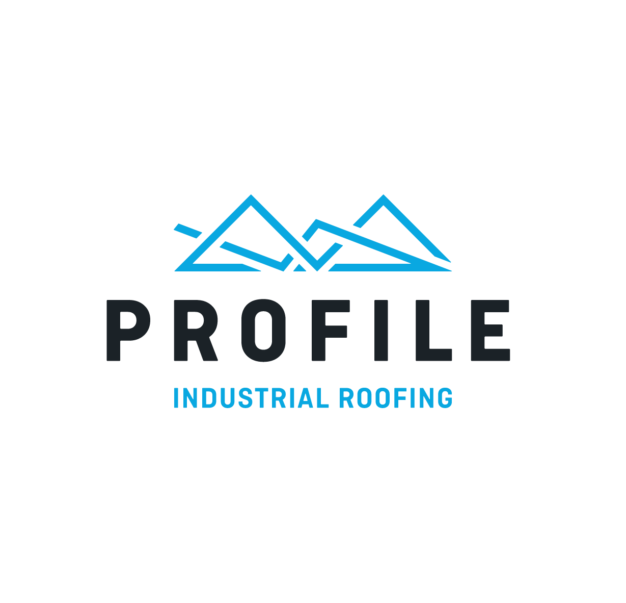 Profile Industrial Roofing