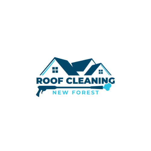 New Forest Roof Cleaning