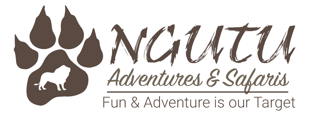 NGUTU ADVENTURES & SAFARIS