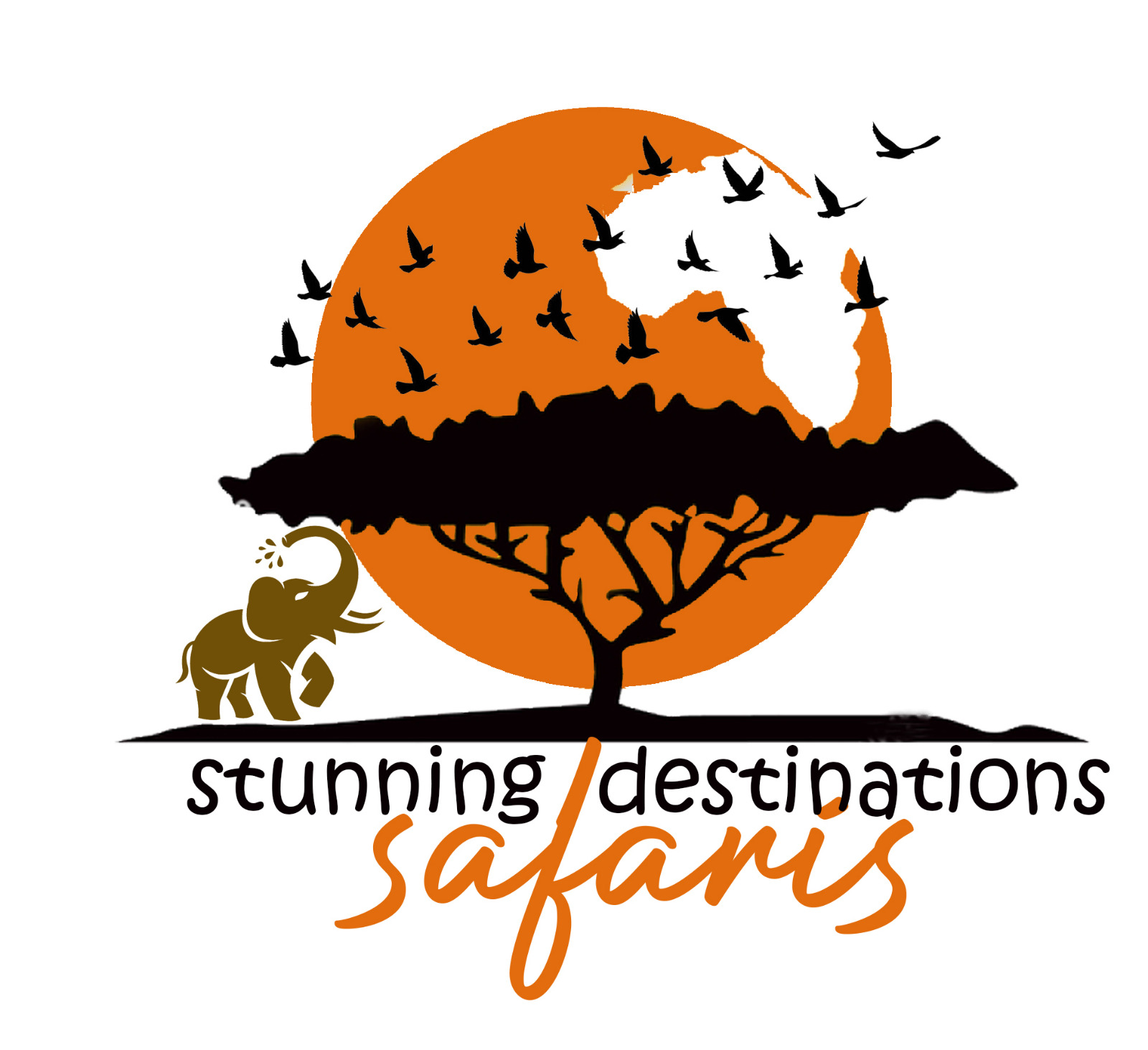 Stunning Destinations Safaris
