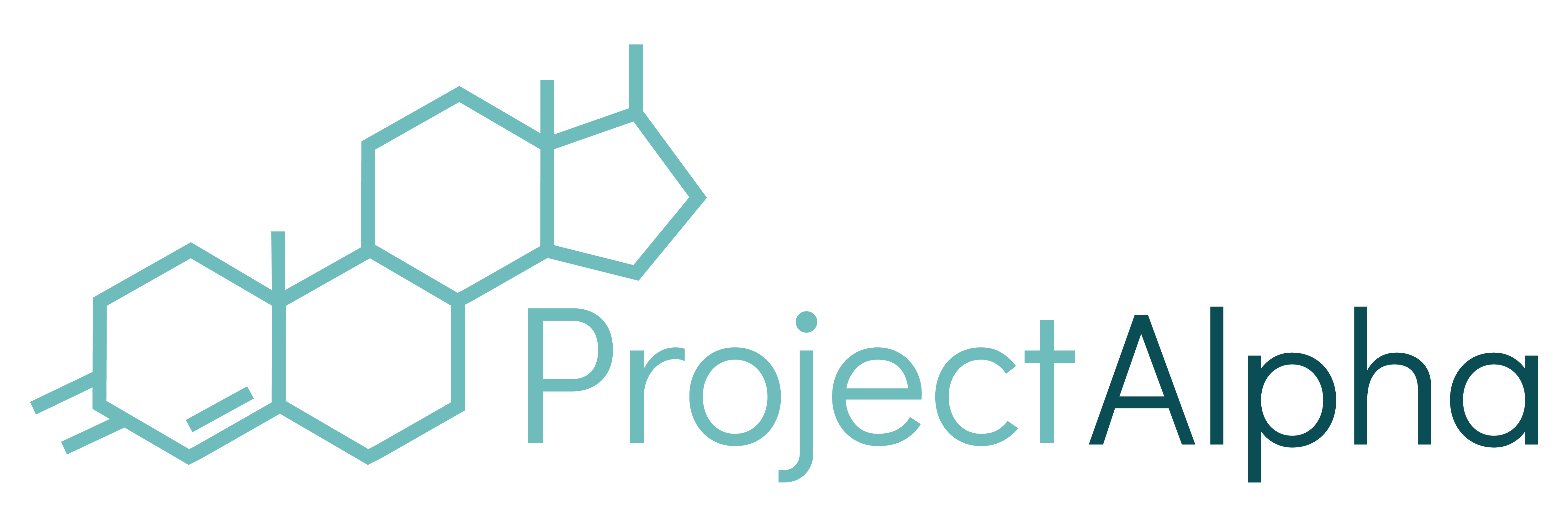 Project Alpha