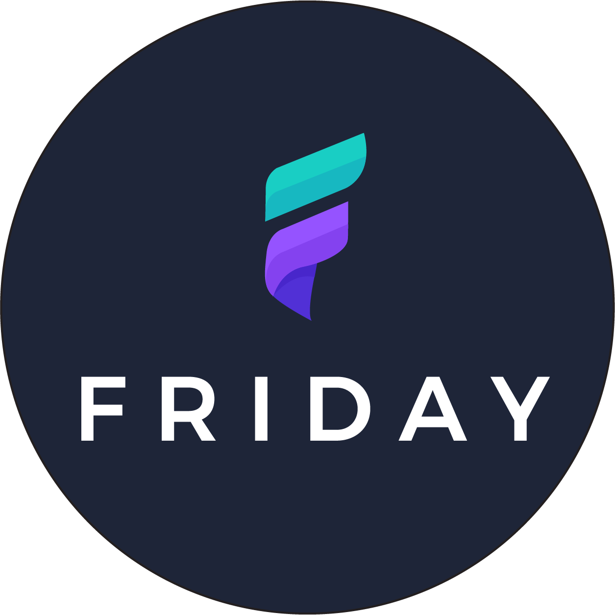 Friday Website Builder