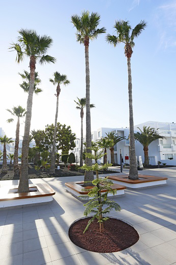 SENTIDO Æquora Lanzarote