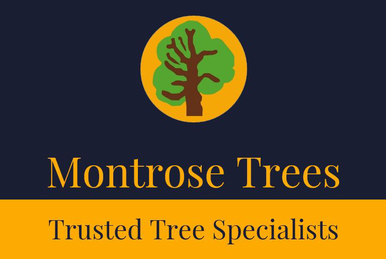 Montrose Trees
