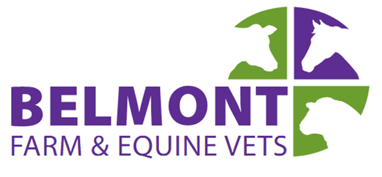Belmont Farm & Equine Vets