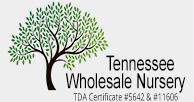 Tennessee Wholesale Nursery