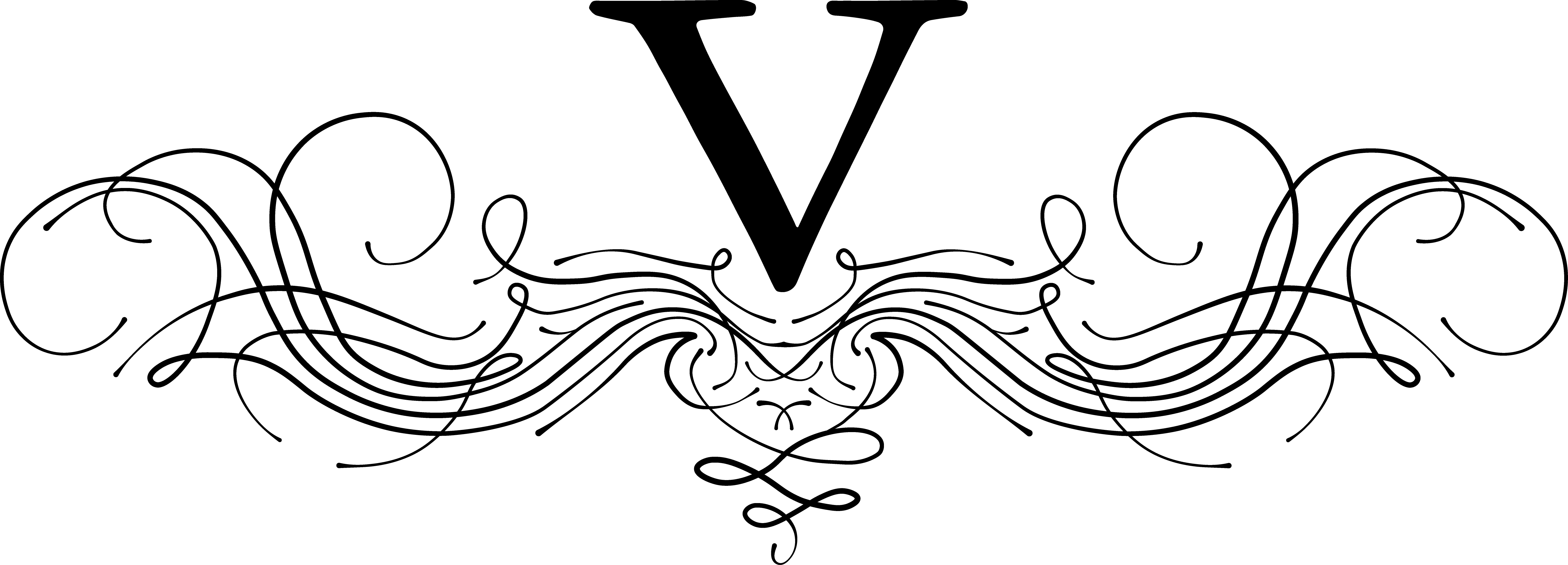 Venuso Art 