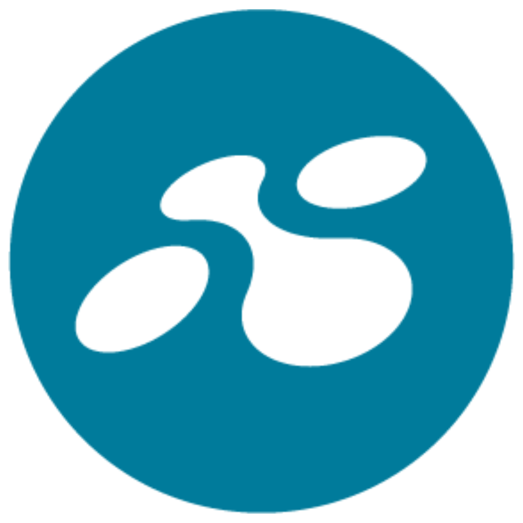LINK Mobility Group