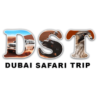 Dubai Safari Trip