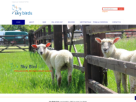 Sky Birds Pet Store
