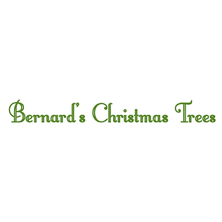 Bernard's Christmas Trees