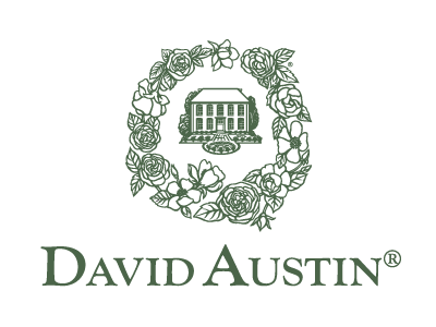David Austin Roses USA