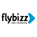 Flybizz Agência de Marketing Digital