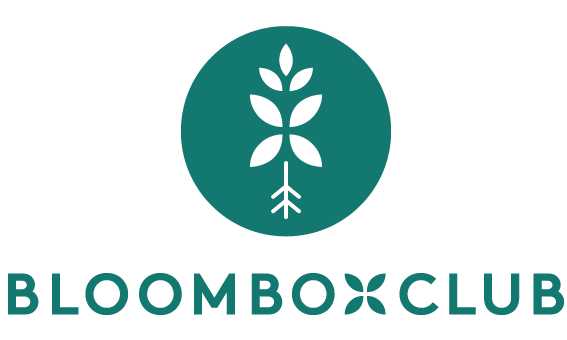 Bloombox Club