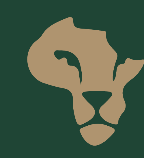 Nova Afrika Kenya Safaris