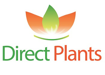 Directplants