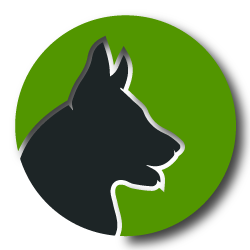 K9 Protection Ltd