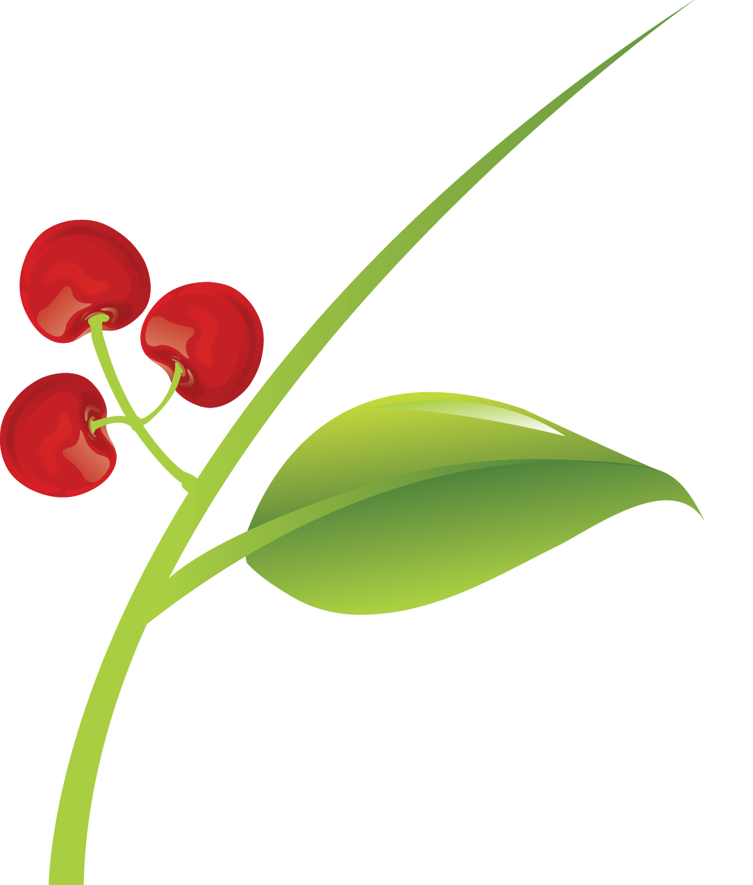 Hiox India