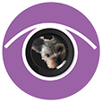 Keepdogeye
