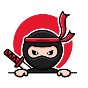 NinjaSpinner
