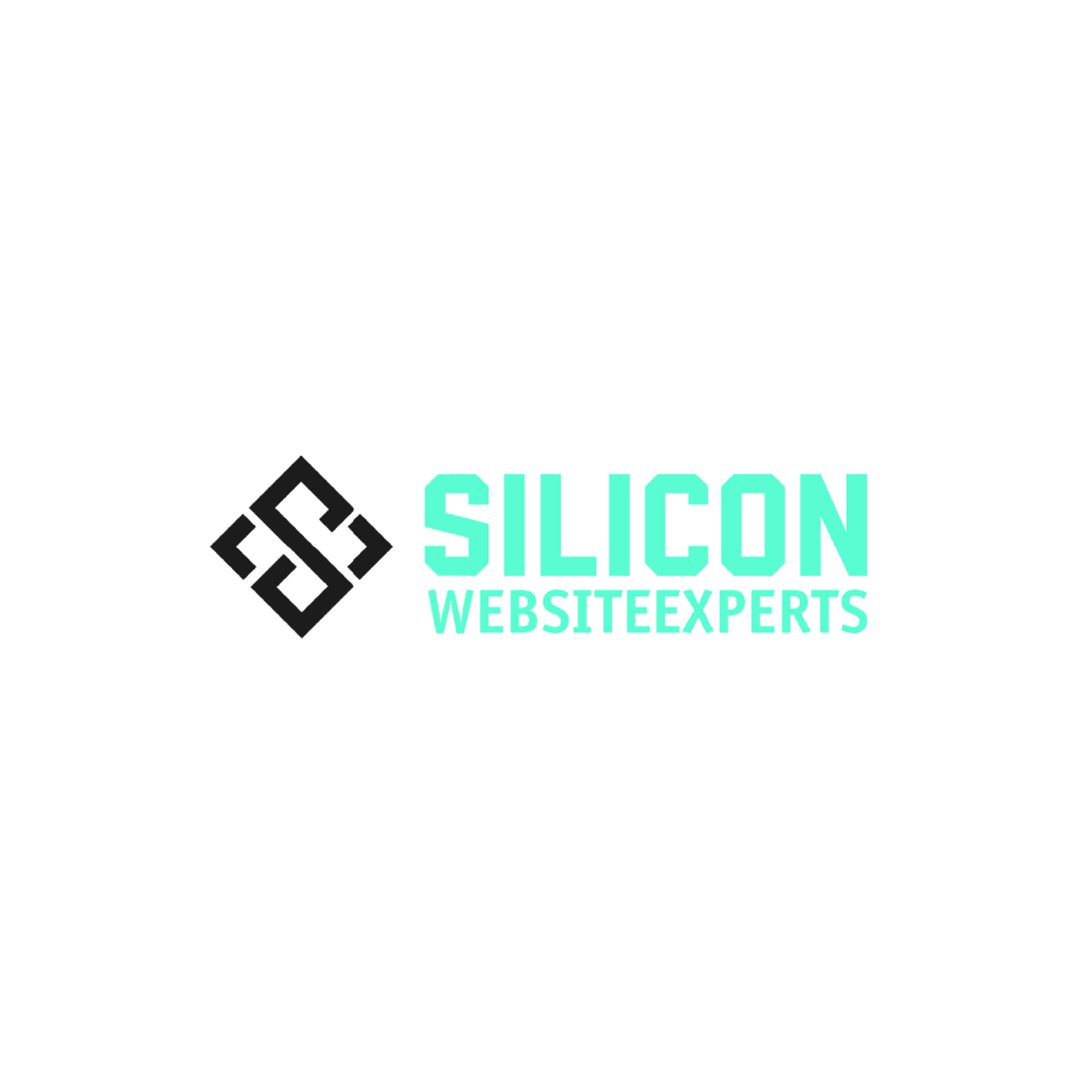 Silicon Website Experts