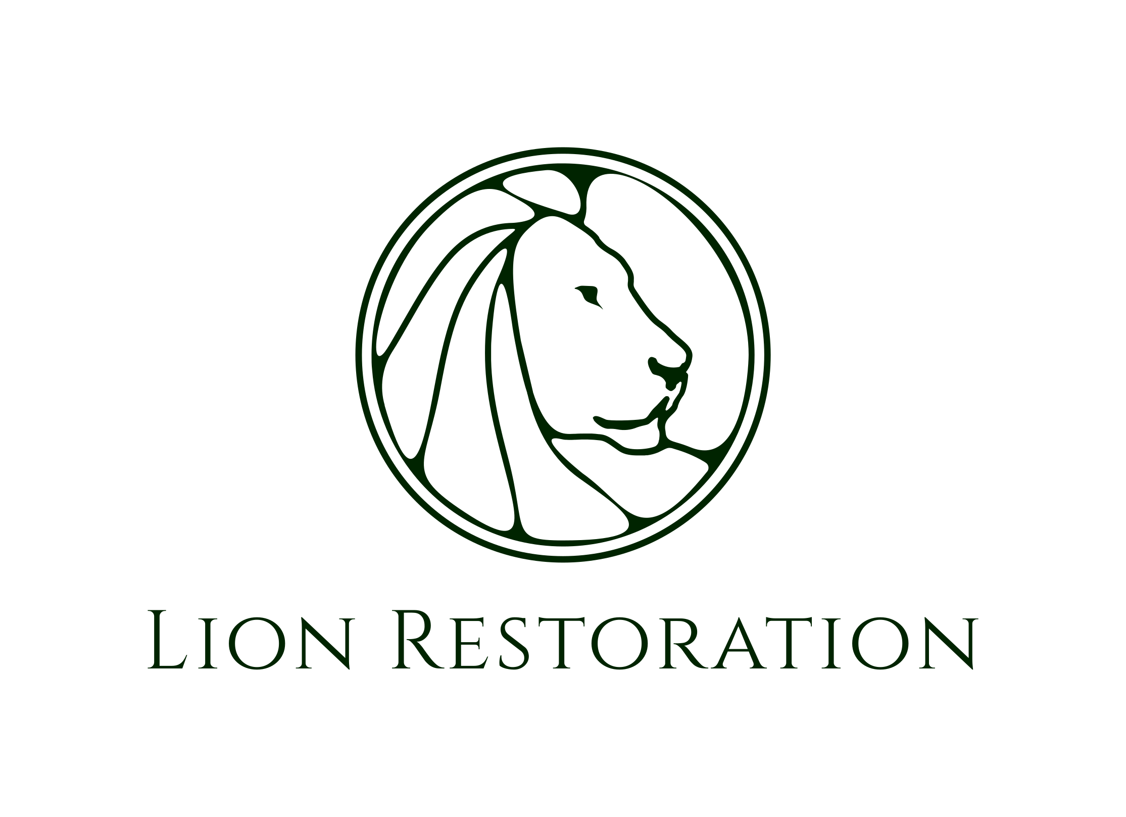 Lion Restoration