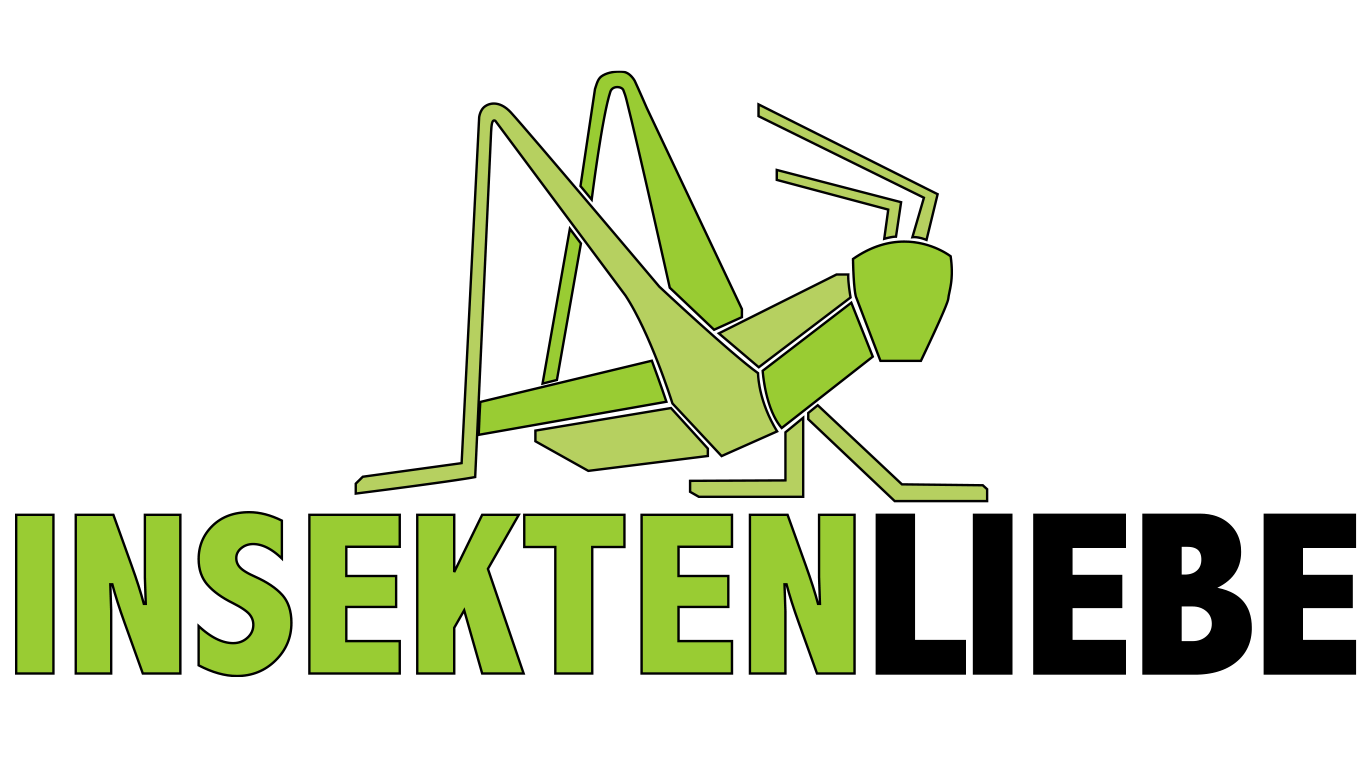 Insektenliebe GmbH