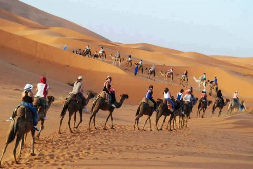 Berber Tours Morocco