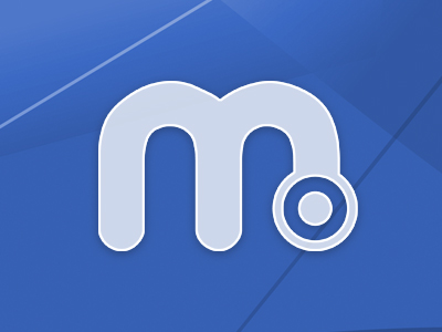 Microspot Limited